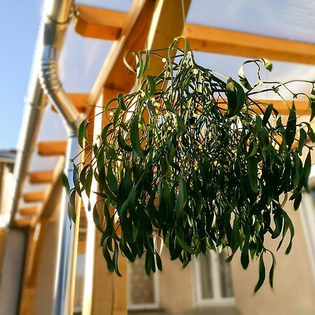 Apartament Fagyoengy Sárvár Zewnętrze zdjęcie
