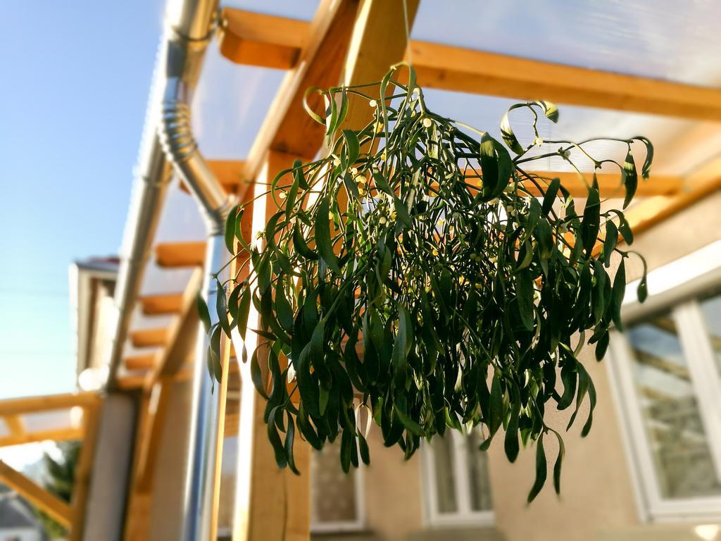 Apartament Fagyoengy Sárvár Zewnętrze zdjęcie